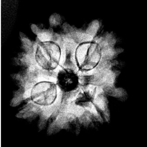 4-Mukhi-Nepal-Rudraksha-21.50-MM-X-Ray.jpg January 21, 2025 122 KB