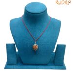 4 Mukhi Rudraksha With Silver Capping - (21.25 MM)
