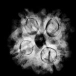 4 Mukhi Rudraksha 20.60 Mm X-Ray