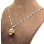 6 Mukhi Nepal Rudraksha Silver Capped With Silver Chain ( 21.45 Mm )