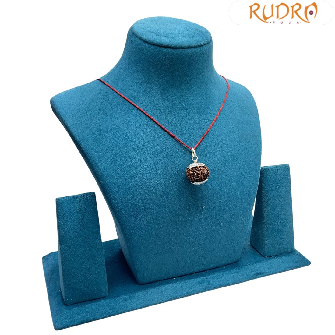 6 Mukhi Nepal Rudraksha With Silver Capping - (20.50MM)