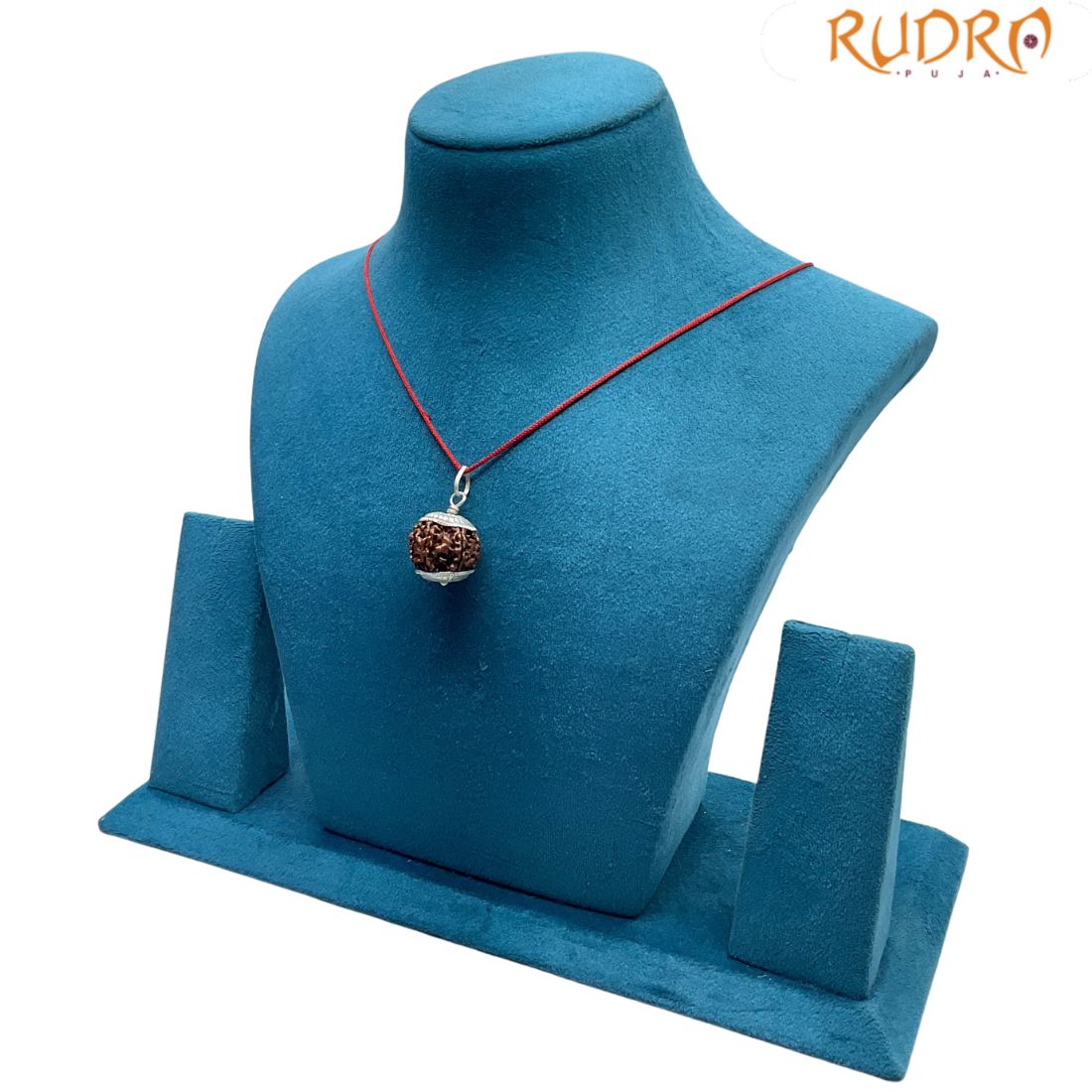 6 Mukhi Nepal Rudraksha With Silver Capping - (20.50MM)