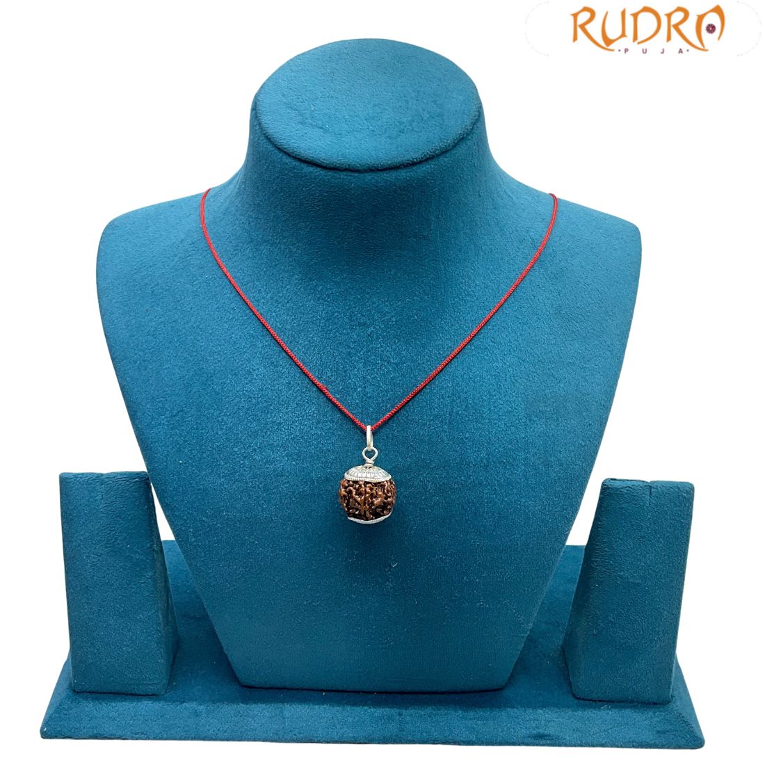 6 Mukhi Nepal Rudraksha With Silver Capping - (20.50MM)