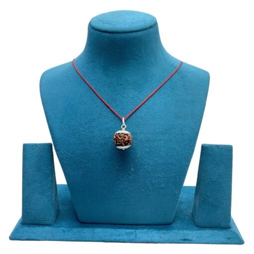 6 Mukhi Nepal Rudraksha With Silver Capping - (20.50Mm)