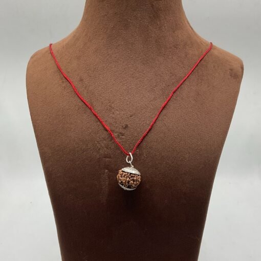 7 Mukhi Rudraksha With Silver Capping - (19.85 Mm) Canva (2)