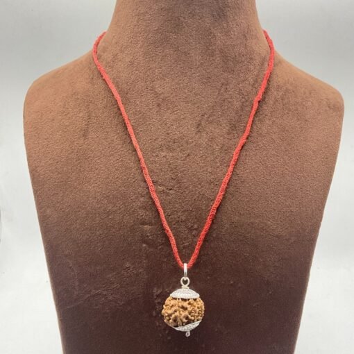 8 Mukhi Rudraksha With Silver Capping - (16.13 Mm)