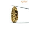 Collector 1 Mukhi Rudraksha ( 41.62 Mm) 12 Collector 1 Mukhi Rudraksha ( 41.62 Mm)