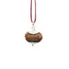 Fifteen Mukhi Rudraksha With Silver Capping - (27.90 Mm) 16 Fifteen Mukhi Rudraksha With Silver Capping