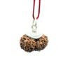 Gaurishankar Rudraksha With Silver Capping ( 27.76 Mm ) 15 Gaurishankar Rudraksha With Silver Capping