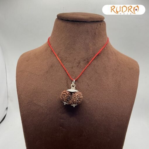 Gaurishankar Rudraksha With Silver Capping ( 29.75 Mm )