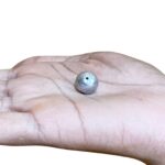 Parad Gutika Parad mani (Round) - 10 Grams