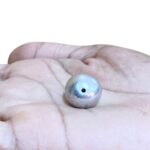 Parad Gutika Parad mani (Round) - 23 Grams