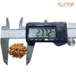 10 Mukhi Rudraksha Nepal - (27.72Mm) 8 10-Mukhi-Rudraksha-Nepal-27.72Mm-Op-C.jpg