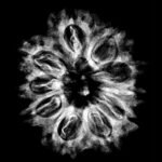 10 Mukhi Rudraksha Nepal With X Ray - (27.42Mm) 9 10-Mukhi-Rudraksha-Nepal-With-X-Ray-27.42Mm.jpg