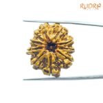 10 Mukhi Rudraksha Nepal With X Ray - (27.42Mm) 7 10-Mukhi-Rudraksha-Nepal-With-X-Ray-27.42Mm-Fp-C.jpg