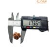 3 Mukhi Rudraksha Nepal (17.36 Mm ) 14 3 Mukhi Rudraksha Nepal (17.36 Mm )