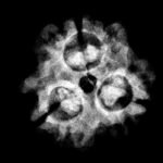 3 Mukhi Rudraksha 16.64 Mm