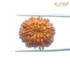 Das Mukhi Rudraksha Nepal - (25.37Mm) 12 Das-Mukhi-Rudraksha-Nepal-25.37Mm-Bp-C.jpg