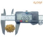 Ten Mukhi Rudraksha Nepal - (28.26 Mm) 8 Ten-Mukhi-Rudraksha-Nepal-28.26-Mm-Op-C.jpg