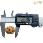 11 Mukhi Rudraksha Nepal (26.88 Mm)