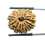12 Mukhi Hanuman Nepal - ( 23.50 MM )