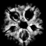 5 Mukhi Rudraksha 22.32 Mm X-Ray