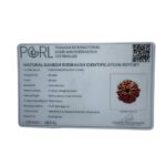 8 Mukhi Rudraksha Ganesha -19.20 MM