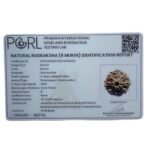 8 Mukhi Rudraksha Nepal - (20.22 MM )