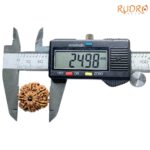 8 Mukhi Rudraksha Nepal - (24.98 MM ) - (Rudrapuja)