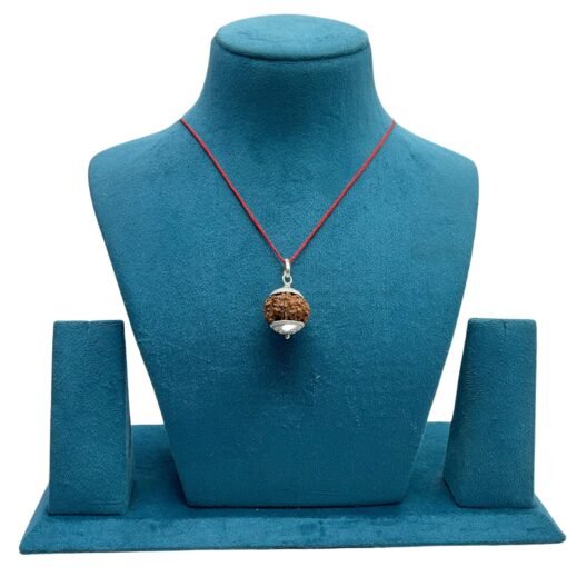 8 Mukhi Rudraksha Nepal With Silver Capping - (21.20 Mm)