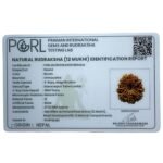 Bara Mukhi Rudraksha Nepal - ( 27.63 Mm )