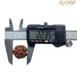 Collector 5 Mukhi Rudraksha Nepal - (22.35 MM)