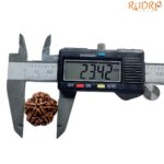 Collector 5 Mukhi Rudraksha Nepal - (23.42 MM)