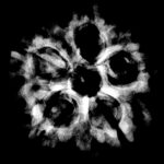 Collector 5 Mukhi Rudraksha Nepal - (24.72 mm)