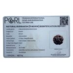Collector 5 Mukhi Rudraksha Nepal - (24.72 mm)