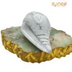 Dakshinamurthy Shankh In Howlite Store - 5 Inches (525 Gm)