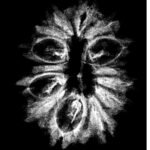 Fourteen Mukhi Rudraksha Nepal - (24.40 Mm)