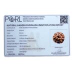 Ganesha Rudraksha 20.05 MM