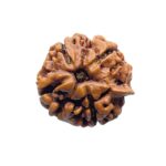 Ganesha-Rudraksha-20.05-MM-MP-C.jpg
