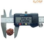 Ganesha Rudraksha 20.60 Mm