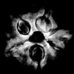 Ganesha Rudraksha - (21.55 Mm) - (Rudrapuja)