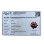 Ganesha Rudraksha - (22.04 MM) - (Rudrapuja)