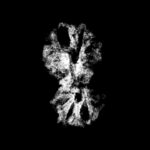 Gaurishankar Indonesian Rudraksha - 15.91 MM