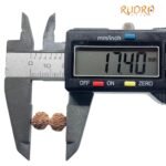 Gaurishankar Indonesian Rudraksha - 17.40 Mm