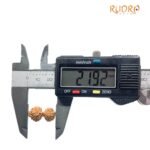 Gaurishankar Indonesian Rudraksha - 21.92 Mm