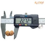 Gaurishankar Indonesian Rudraksha - 22.72 MM
