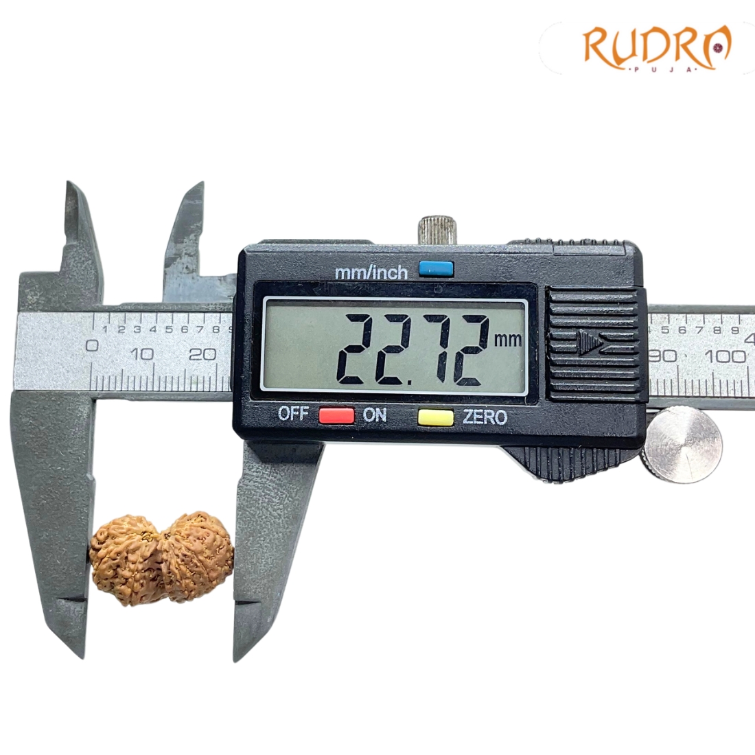 Gaurishankar Indonesian Rudraksha - 22.72 MM