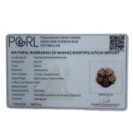 Super Collector 5 Mukhi Rudraksha Nepal - (28.15 MM)