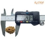 X Ray Certfieid 14 Mukhi Rudraksha Original Nepal - ( 26.43 Mm ) 8 X-Ray-Certfieid-14-Mukhi-Rudraksha-Original-Nepal-26.43-Mm-Op-C.jpg