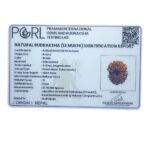 X - Ray Certified 12 Mukhi Rudraksha Nepal ( 27.45 MM )